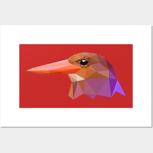 Ruddy Kingfisher Posters and Art